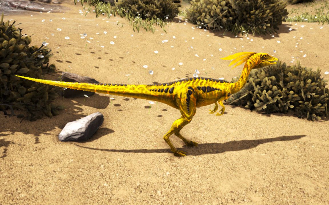 【火锅】方舟生存进化 来世篇13 转世进化型美颌龙_哔哩哔哩 (゜-゜)