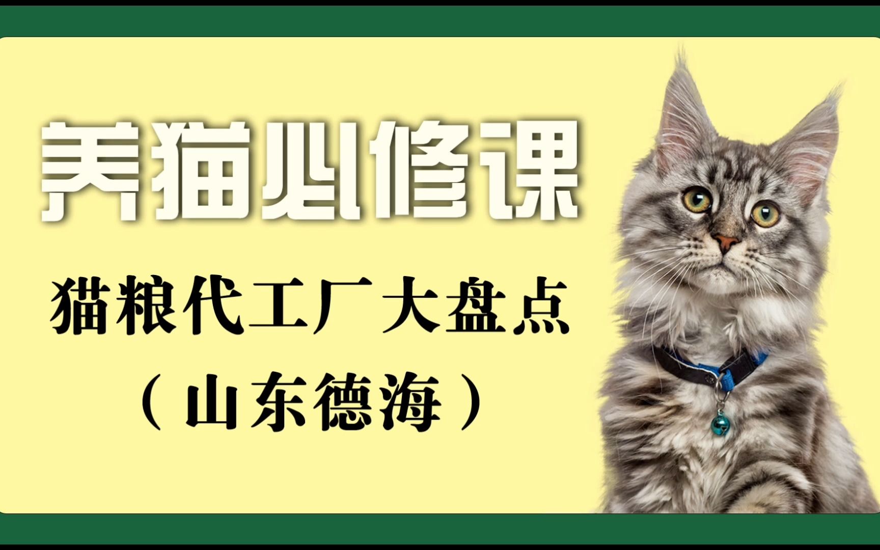 养猫必修课——猫粮代工厂大盘点——山东德海哔哩哔哩bilibili