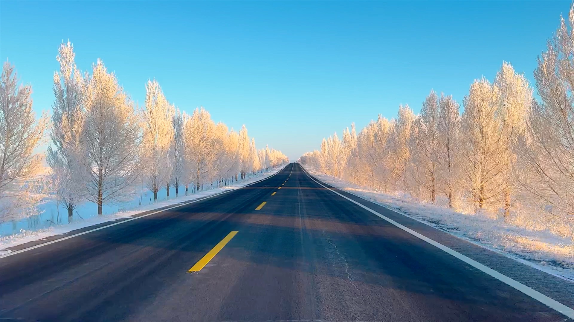不要犹豫,立马艾特出你认为最喜欢的人来看雾淞!#雪景#雾凇