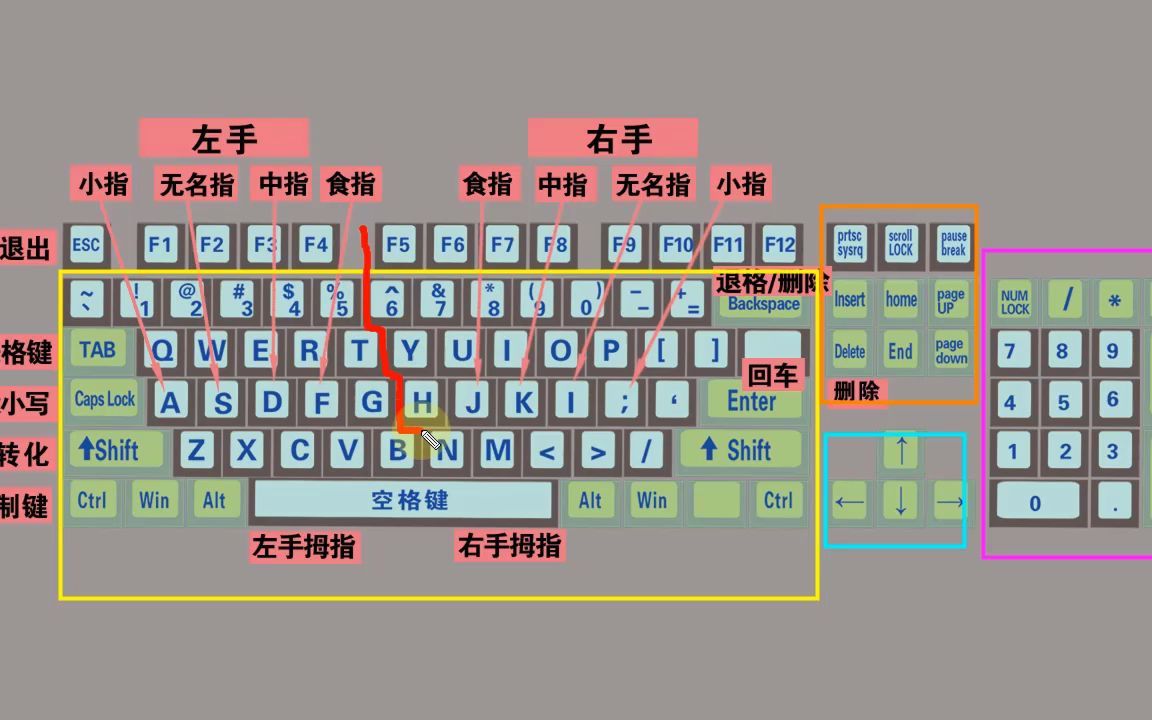 键盘打字正确指法图图片