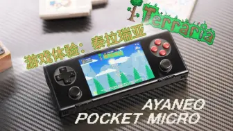 Download Video: AYANEO Pocket MICRO 真机游戏体验——《泰拉瑞亚》Terraria