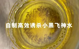 Download Video: 自制高效诱杀小黑飞神水(转载)