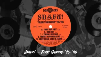 Download Video: 【少见唱片】重见天日的稀有音源钝烟者 Snafu! – Blunt Smokers '95-'98