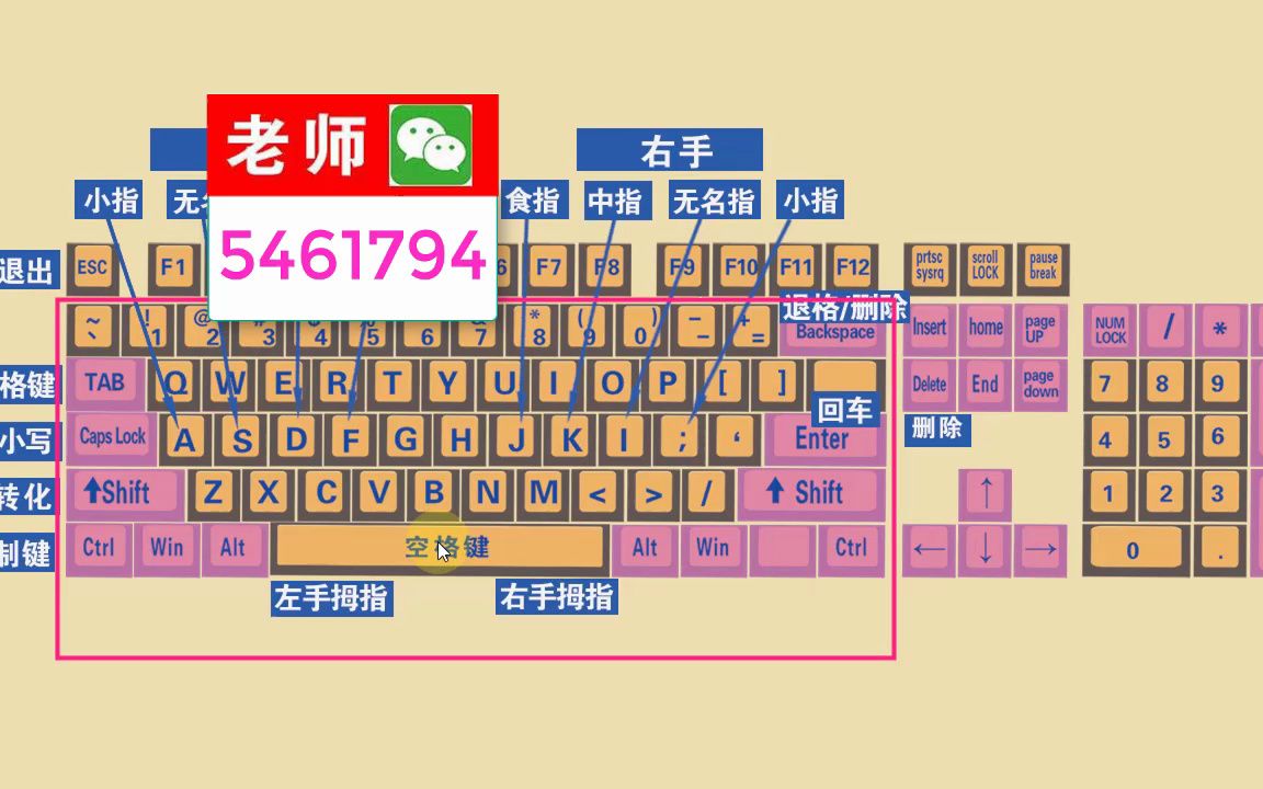 零基礎學電腦打字入門教程,老師一步一步教會你