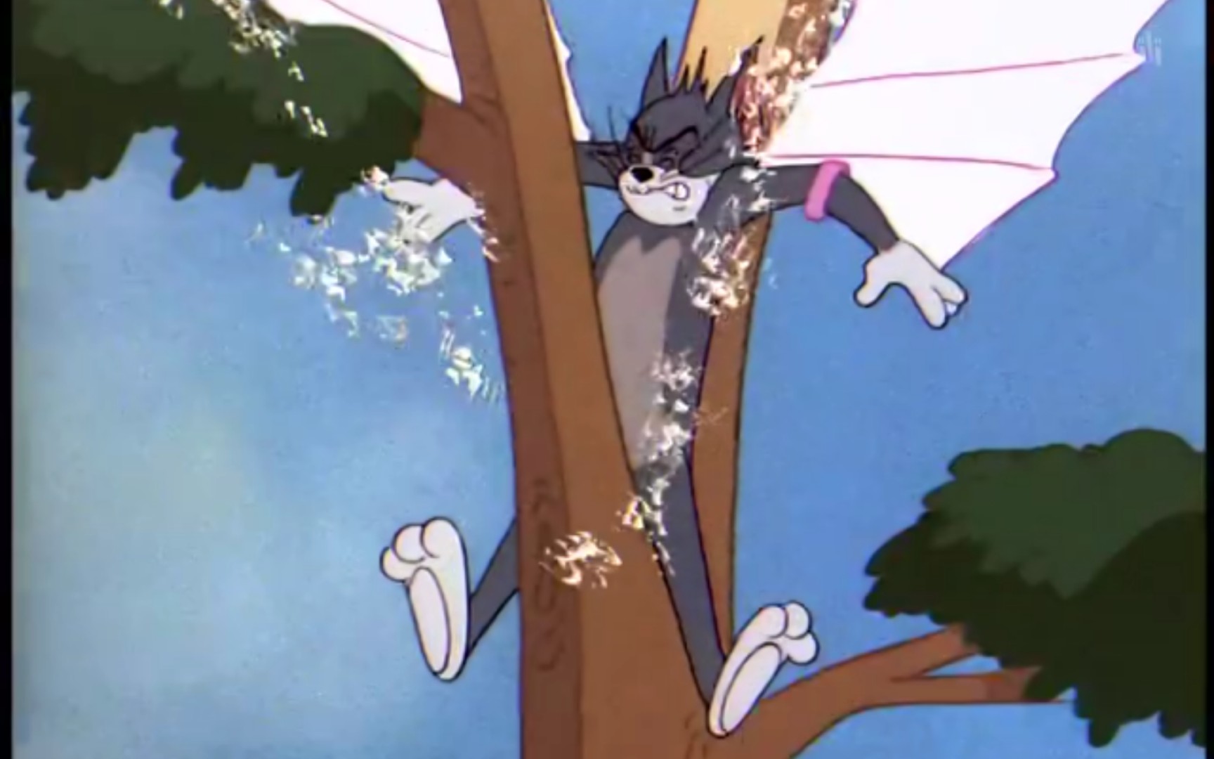 先有汤姆后有天