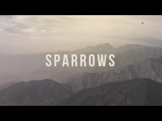 Sparrows  Jason Gray哔哩哔哩bilibili