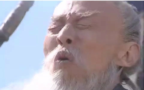 活动  王司徒与孔明阵前共赏蓝莲花