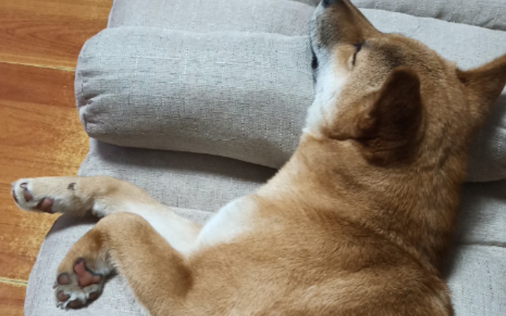 还就那个卧倒不动(18天)