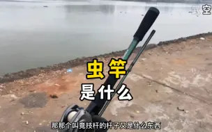 Télécharger la video: 都说虫竿虫竿，你知道什么是虫竿？虫竿、竞技竿、远投竿，新手应该怎么选？#虫竿 #路亚虫竿 #路亚鳜鱼 #路亚黑坑 #武空钓鱼