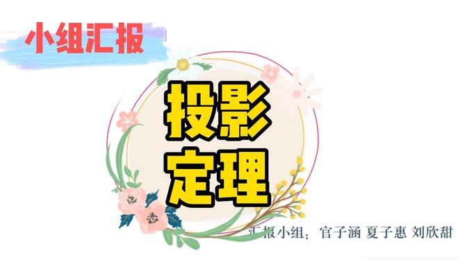 投影定理——夏子惠小组汇报