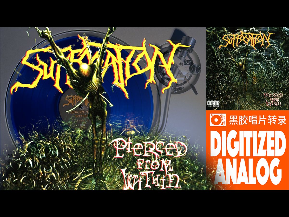 「黑胶唱片」Suffocation《Breeding The Spawn》HiRes无损录音哔哩哔哩bilibili