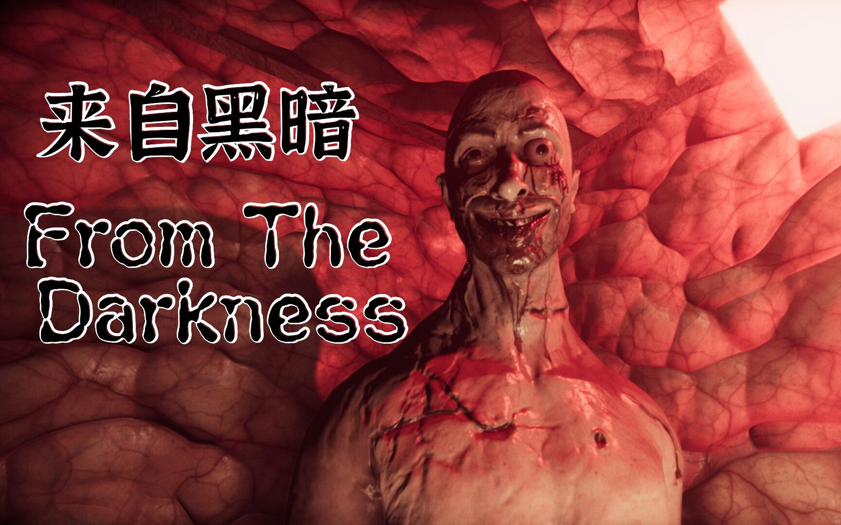 [图]【From the darkness】把猛男吓哭了的恐怖游戏