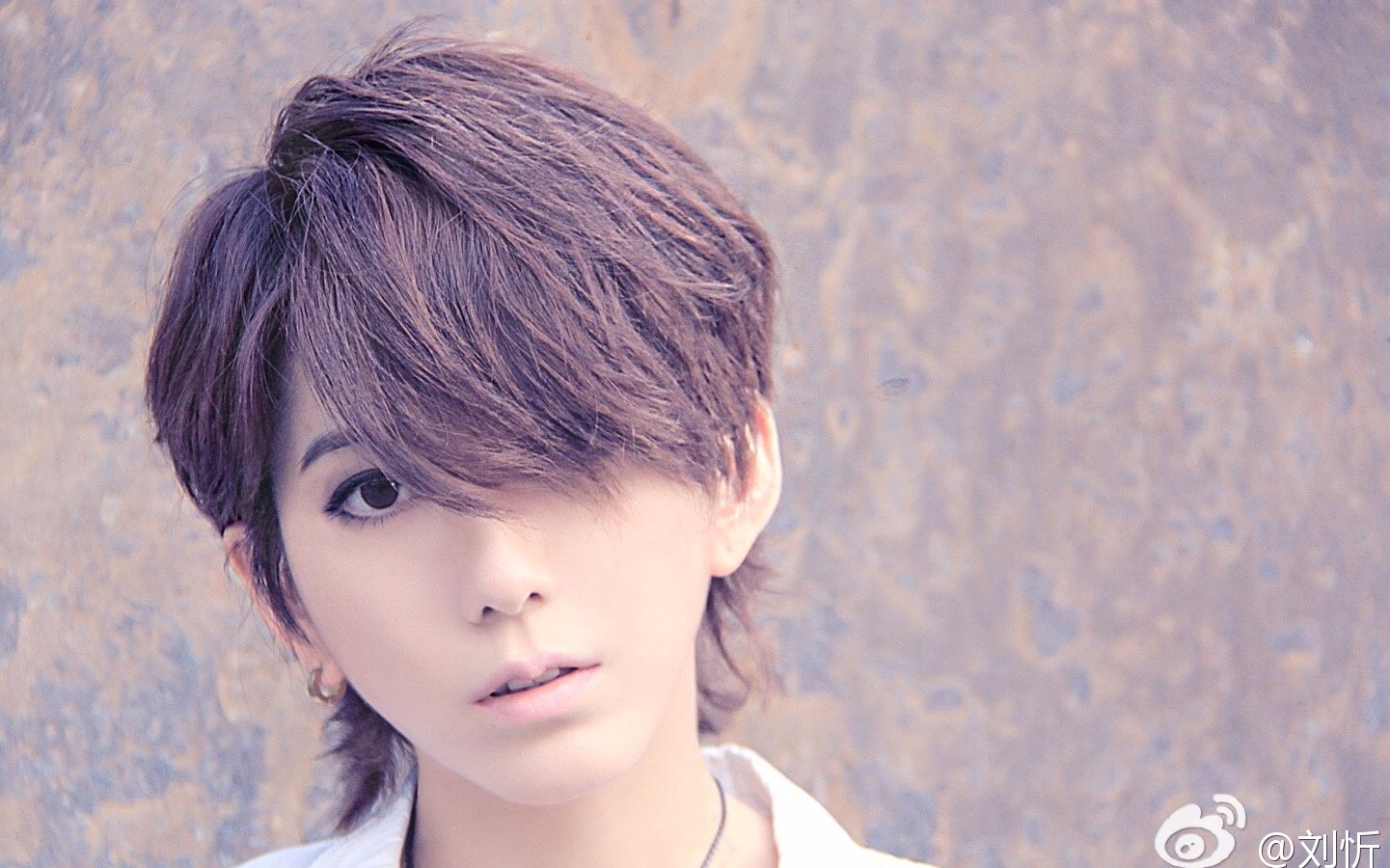 刘忻170119轰趴cut