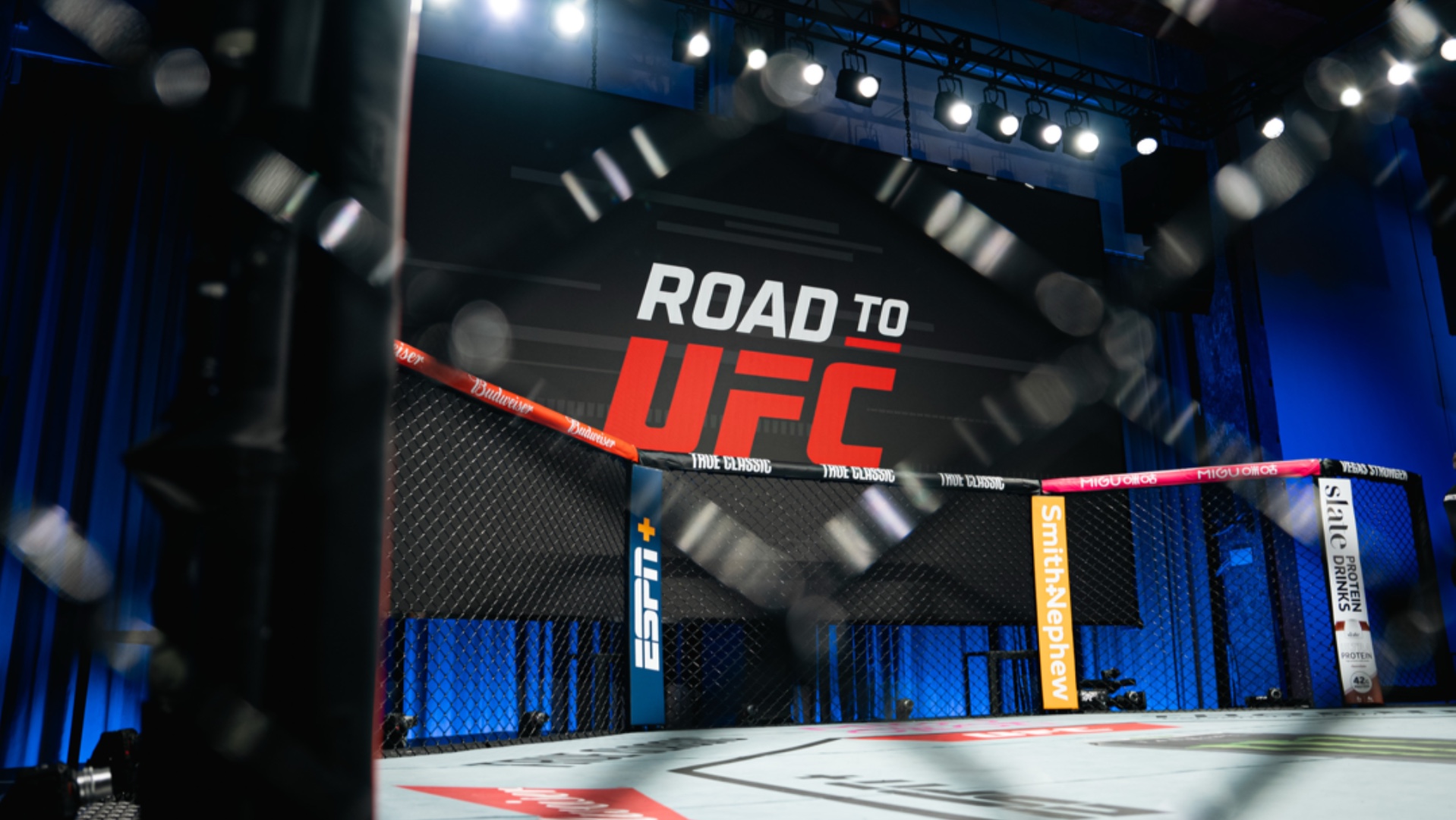 赛后回顾:二十场比赛里有十二场终结【UFC精英之路 | 第四季】-UFC终极格斗冠军赛官方-UFC终极格斗冠军赛官方-哔哩哔哩视频
