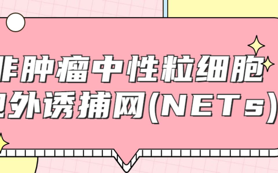 \两月接收!8分+非肿瘤中性粒细胞胞外诱捕网(NETs)生信思路重磅来袭!疾病分型+机器学习算法+风险评分!基因集已备好,就等你来/SCI论文/科研/研...