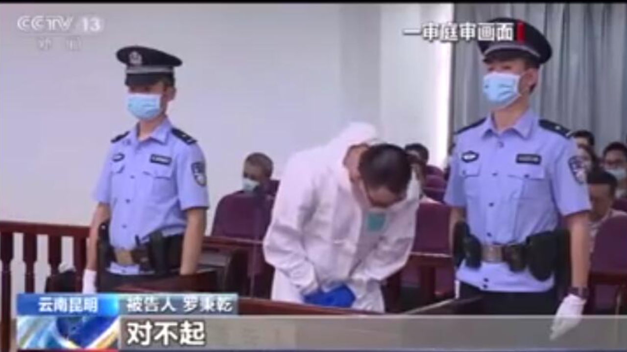 李心草案一审宣判,19日罗秉乾当庭认罪并向李母道歉哔哩哔哩bilibili