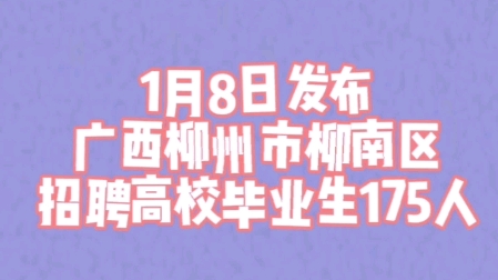 广西柳州市柳南区招聘高校毕业生175人哔哩哔哩bilibili