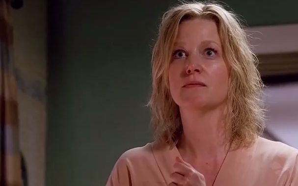 【绝命毒师】斯凯勒一开始认为能和老白一样经历承受!