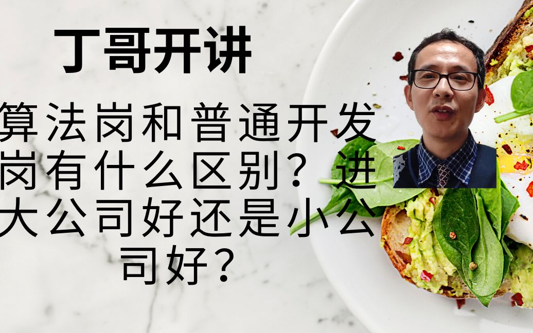 算法岗和普通开发岗有什么区别?进大公司好还是小公司好?哔哩哔哩bilibili