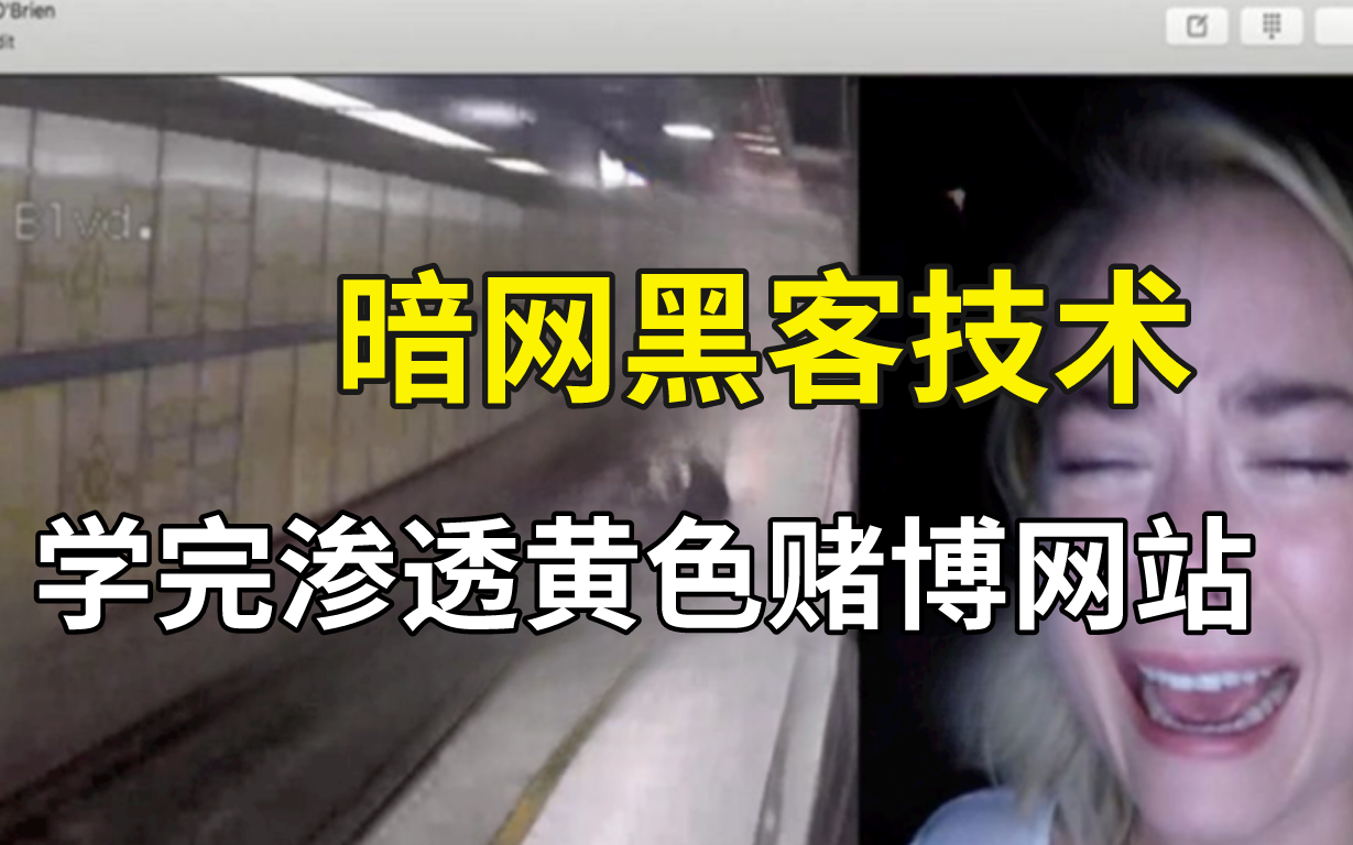 【暗网黑客教程】审核下架34次,终于上传成功,你敢学我就敢发,学完渗透黄色赌博网站!哔哩哔哩bilibili