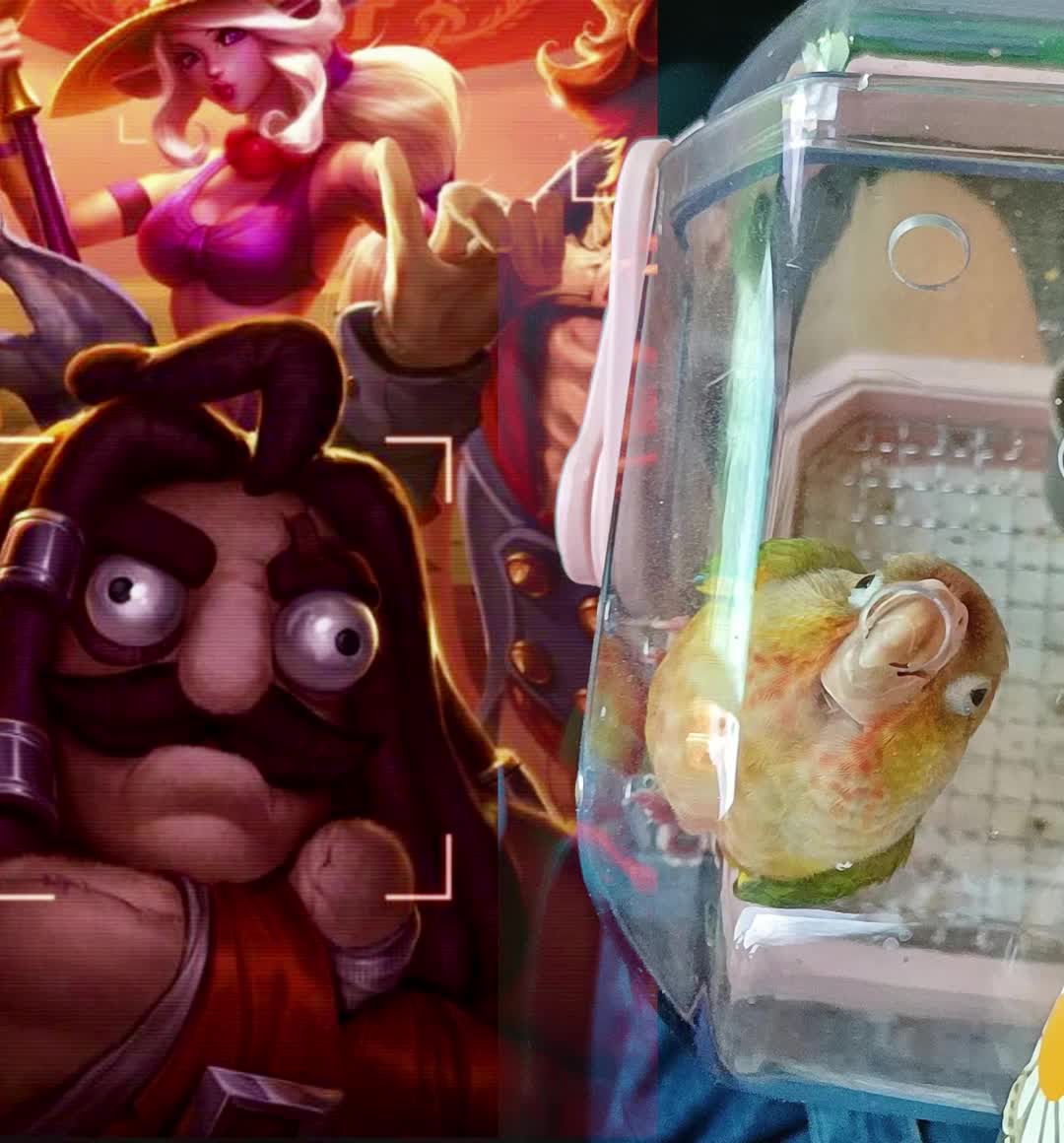 这货真的不是乌迪尔