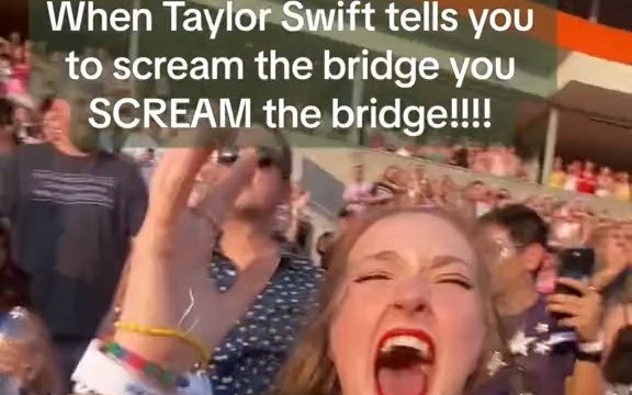 [图][Taylor Swift]“和Taylor一起唱残夏（cruel summer）时，现场观众的状态 be like...... ”【1.0】