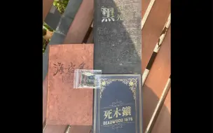 Скачать видео: 【半叶开桌游】死木镇，海盗岛，黑死城-黑暗城市三连