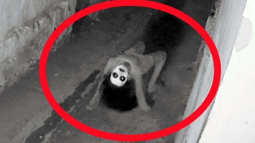 男孩拥有“看见鬼”的能力，这是一种什么样的体验？最后的反转你根本猜不到！