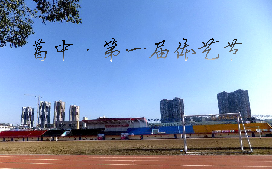 2017年体育艺术节演出