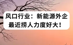 下载视频: 不知道大家有没有发现，最近新能源外企放出了好多岗位