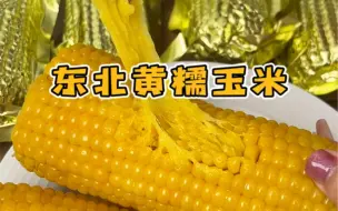 Tải video: #玉米 现在挑战玉米➕鸡蛋，软糯香甜、连袋煮的十月稻田玉米少不了