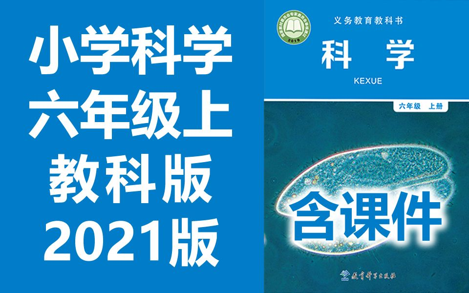 小学科学六年级科学上册 教科版 2021最新版 教育科学出版社 小学科学6年级科学上册六年级上册科学新版 2020新改版 含课件哔哩哔哩bilibili