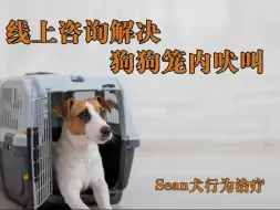 Download Video: 线上训犬咨询案例:笼内吠叫，虽然看似都是同样的吠叫问题，但是引起吠叫的因素会有很多，我们随意的去模仿网上的训练方法可能并不适合我们自家狗狗，反而会让问题更严重。