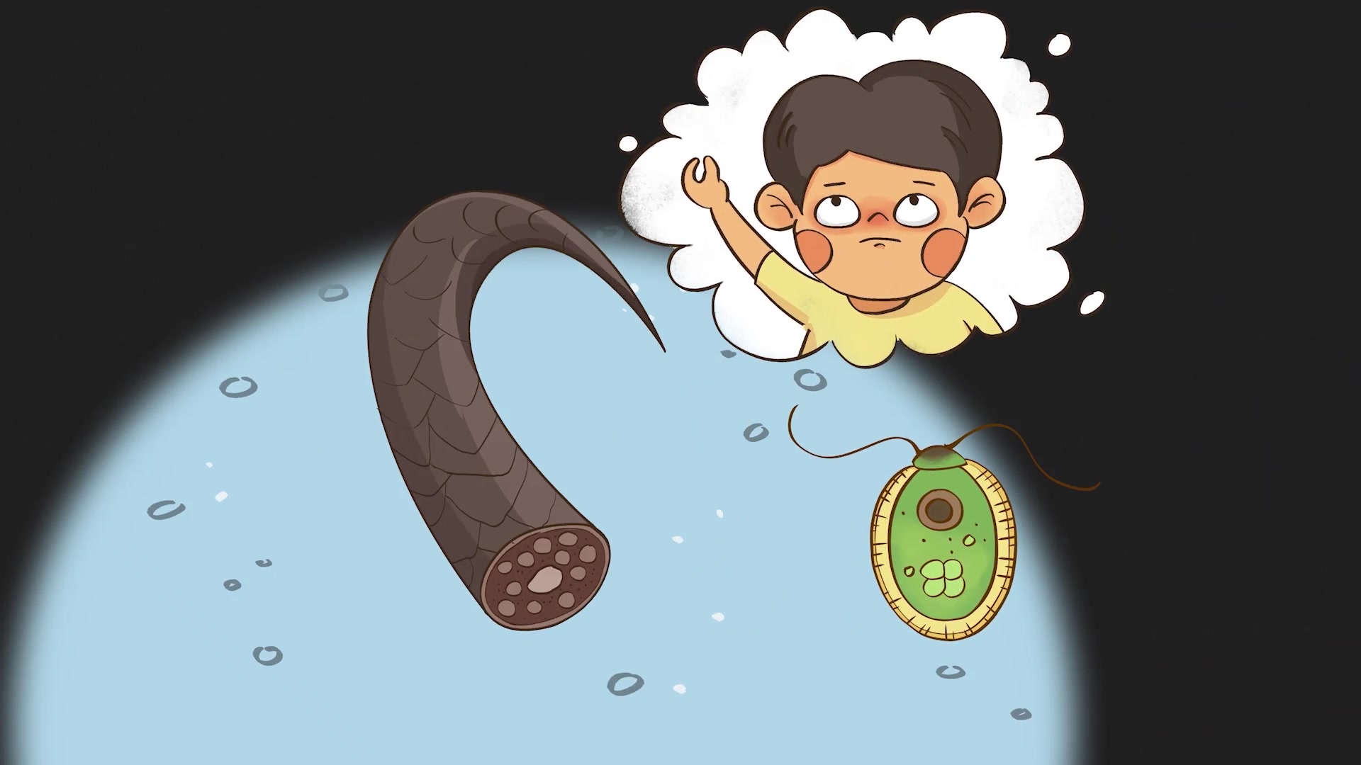 【土豆逗严肃科普】科普动画片,关于地球知识方面的非常适合小朋友