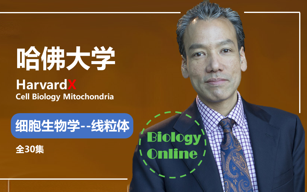 【哈佛大学公开课】细胞生物学线粒体(Cell Biology Mitochondria)哔哩哔哩bilibili