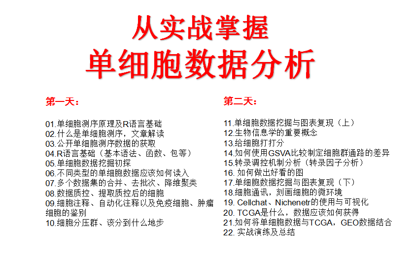 [图]单细胞测序及图表复现（2天实战,共12小时,私信UP主领全套资料包）