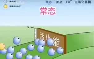 Descargar video: 【2019年新教材】理解活化能，酶的高效性