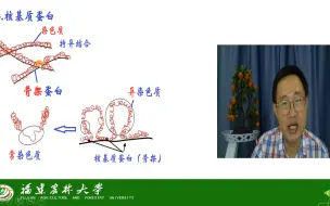 Video herunterladen: 基因的表达与调控-真核生物基因调控-染色质水平的调控-茶创2021级