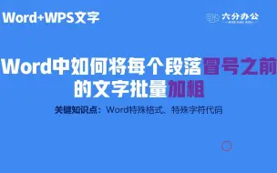 Download Video: Word中如何将每个段落冒号之前的文字批量加粗