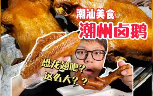 Download Video: 潮汕美食“卤鹅”！鹅翅比胳膊还大！一个鹅翅就能吃到爽！