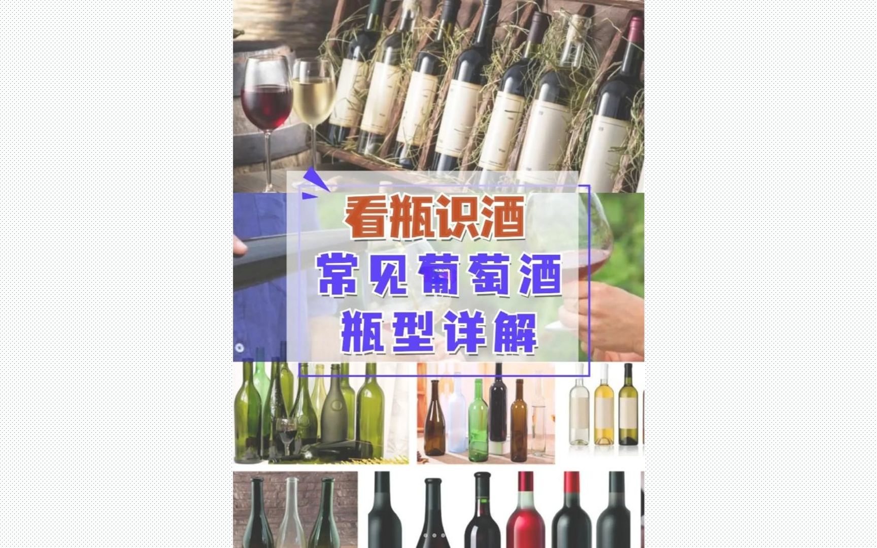 看瓶识酒——超EASY!常见经典葡萄酒瓶型详解!哔哩哔哩bilibili