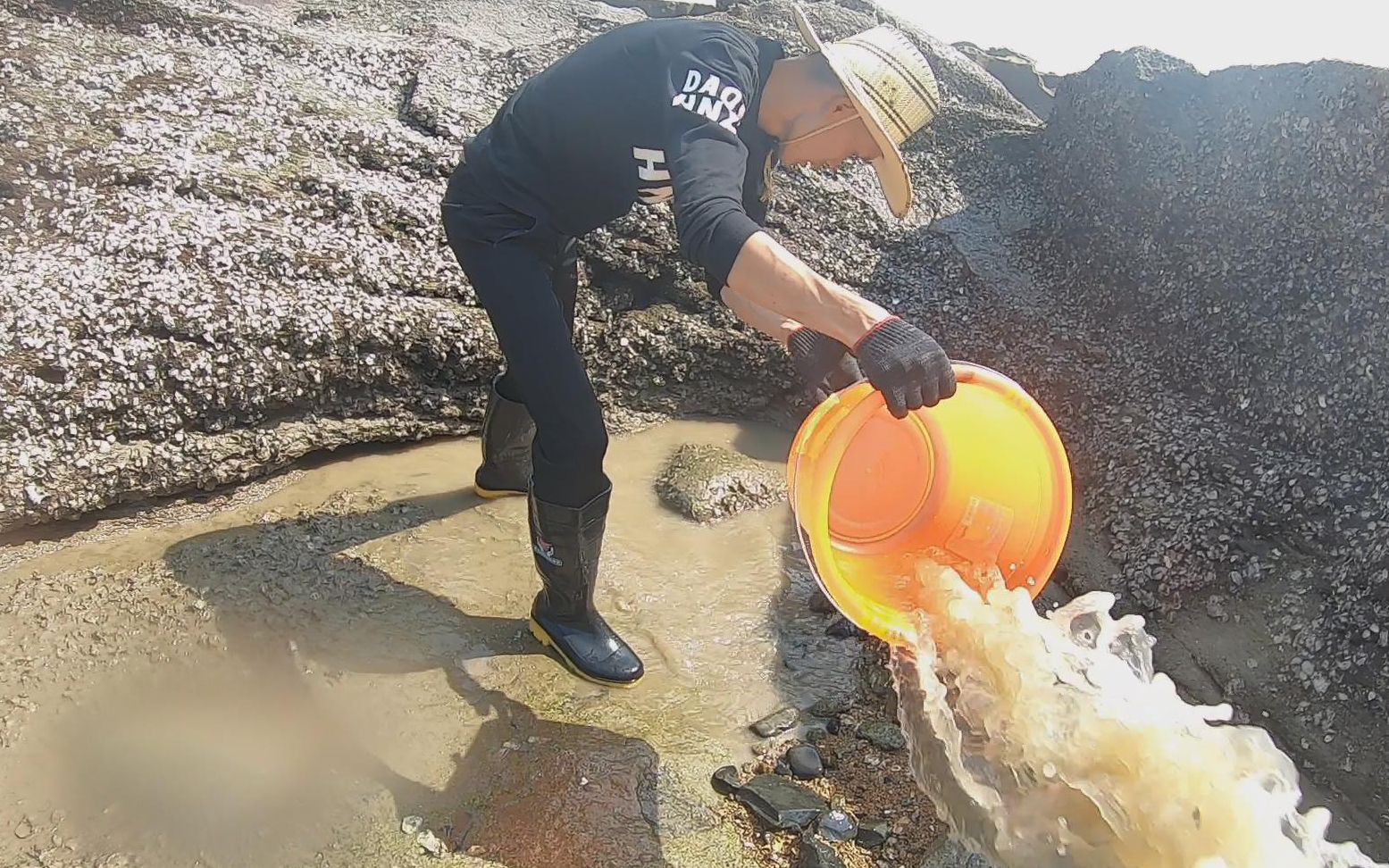 退潮后海鲜被困水坑回不了海小川把水舀干伸手一摸全是惊喜