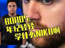 【CSGO职业】BOROS:年纪轻轻就学NIKO坐牢!