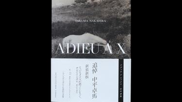 中平卓馬 / ADIEU A X 新装新版初版 610o09DWQBL._AC_UF350,