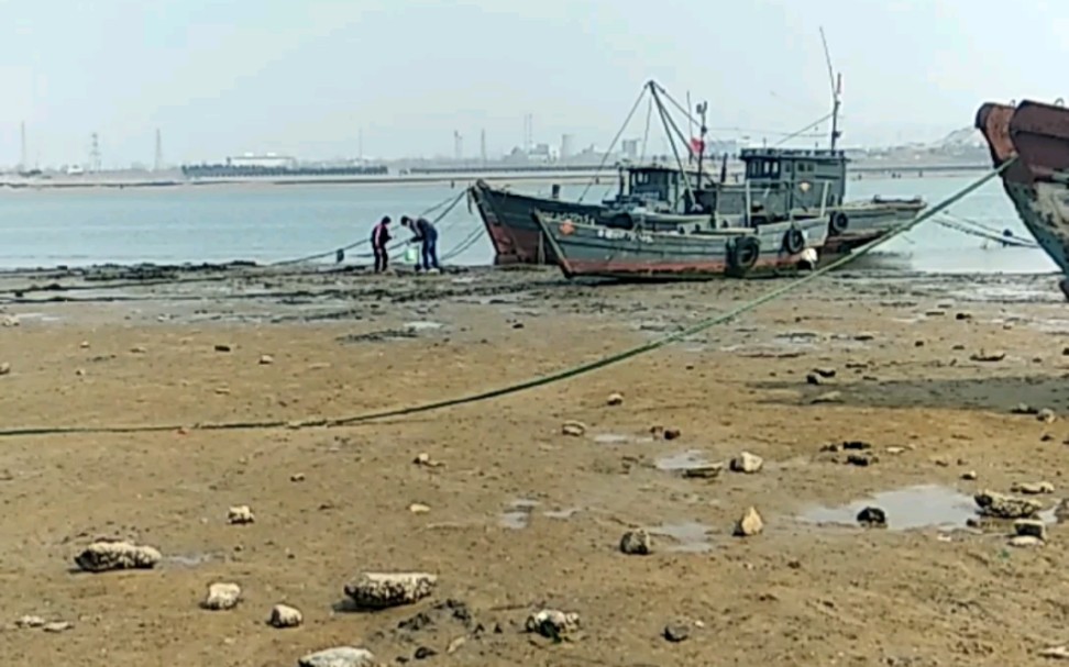 烟台夹河退潮货不少啊