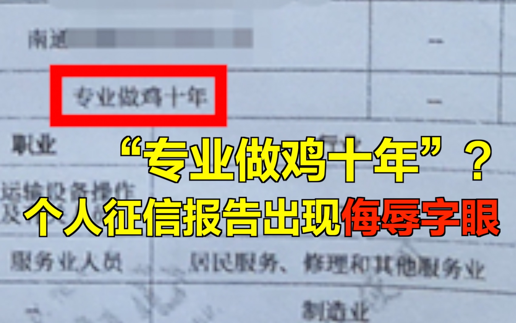 “专业做鸡十年”?个人征信报告出现侮辱字眼 ,征信机构难道可以想怎么写就怎么写?哔哩哔哩bilibili