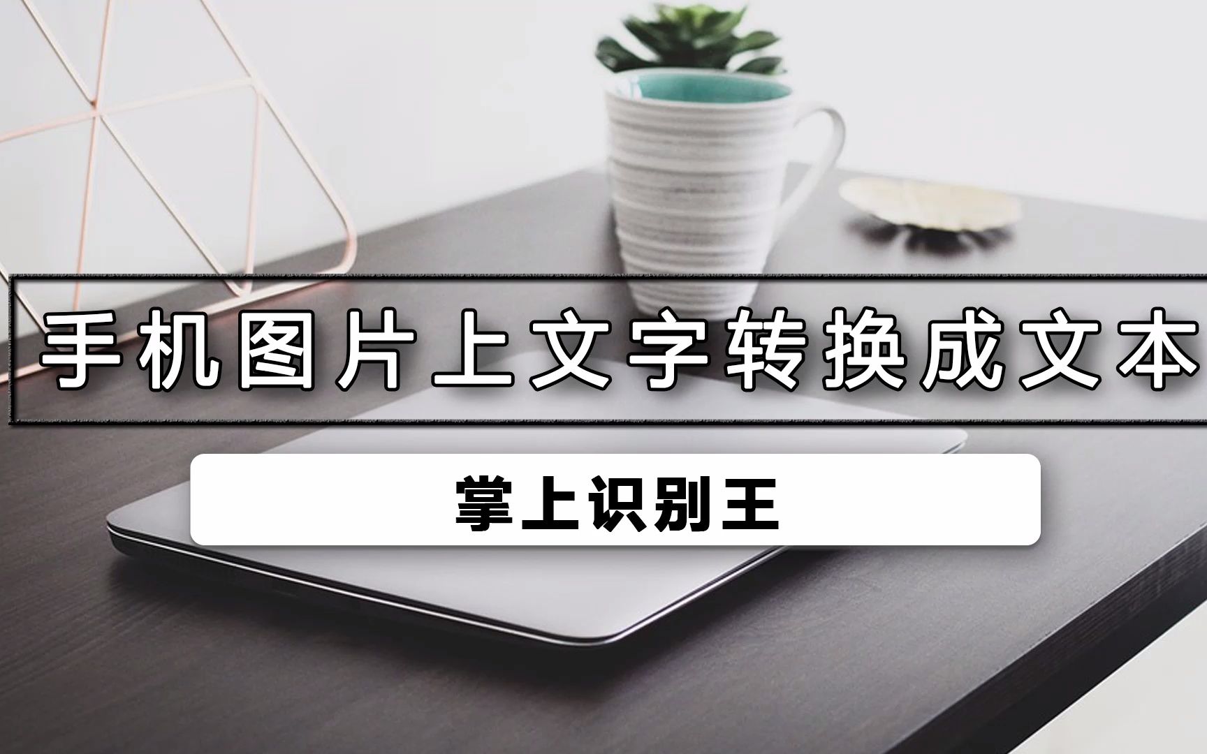 手机图片上文字转换成文本