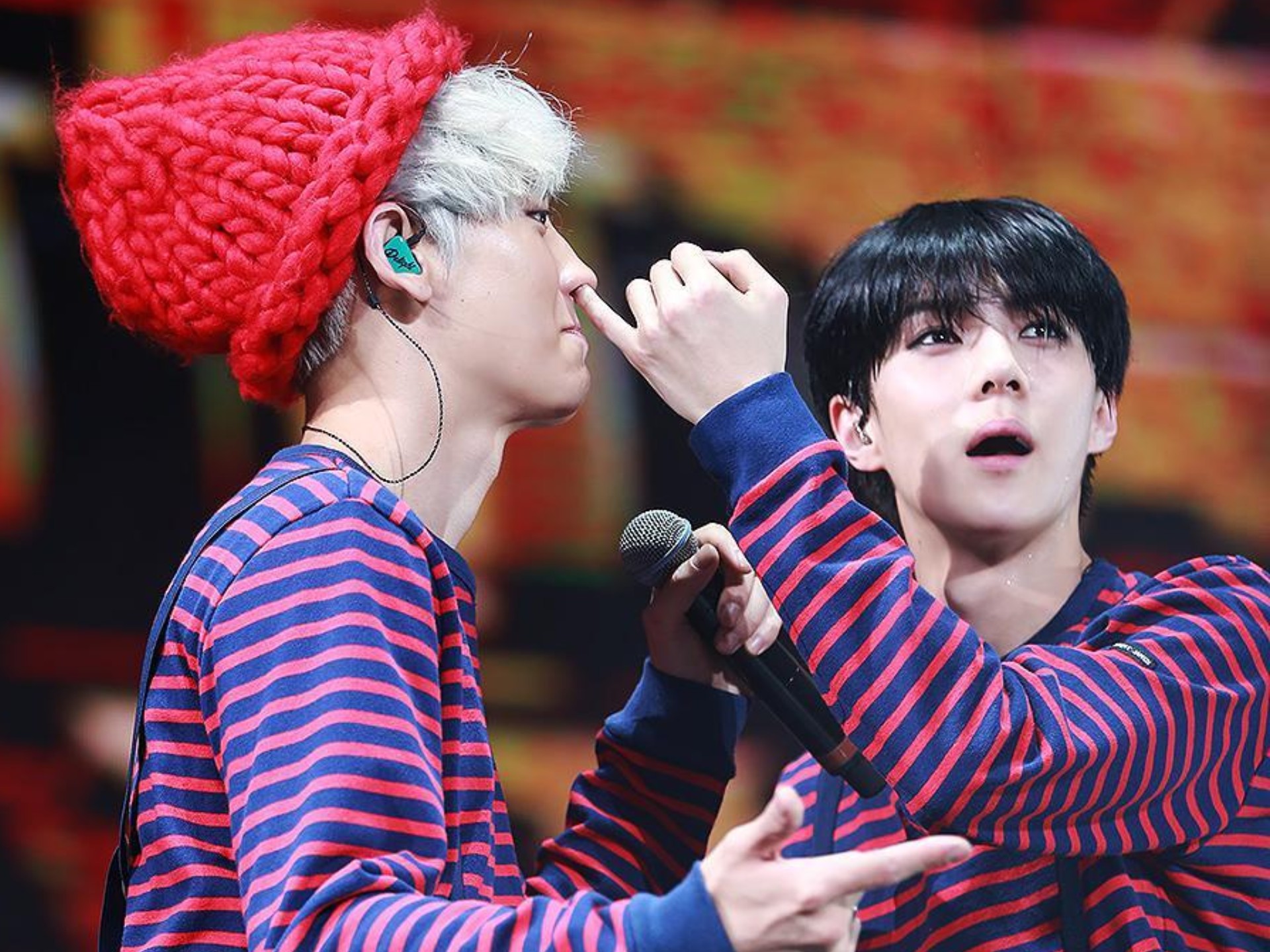 点击就看猫猫狗狗的恋爱小技巧