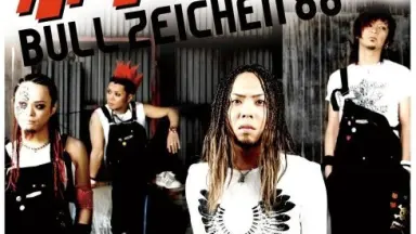 BULL ZEICHEN 88-哔哩哔哩_Bilibili