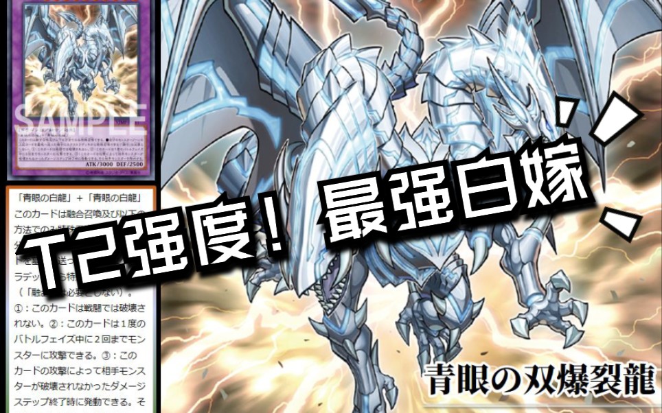 新老婆 青眼双爆裂龙!白龙卡组再度崛起!